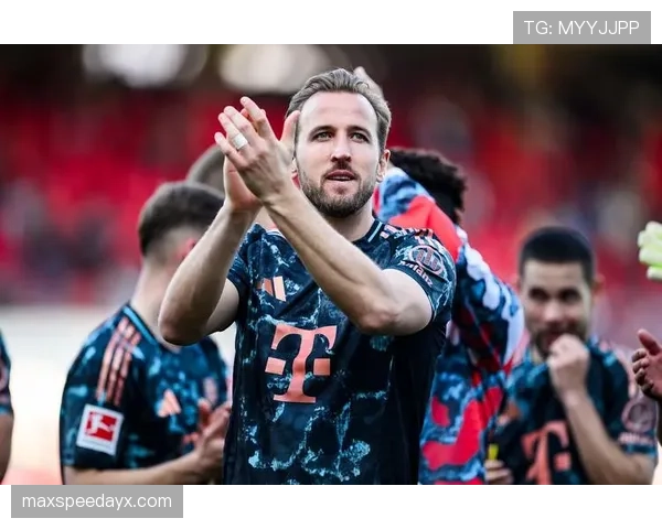 德甲勒沃库森引援